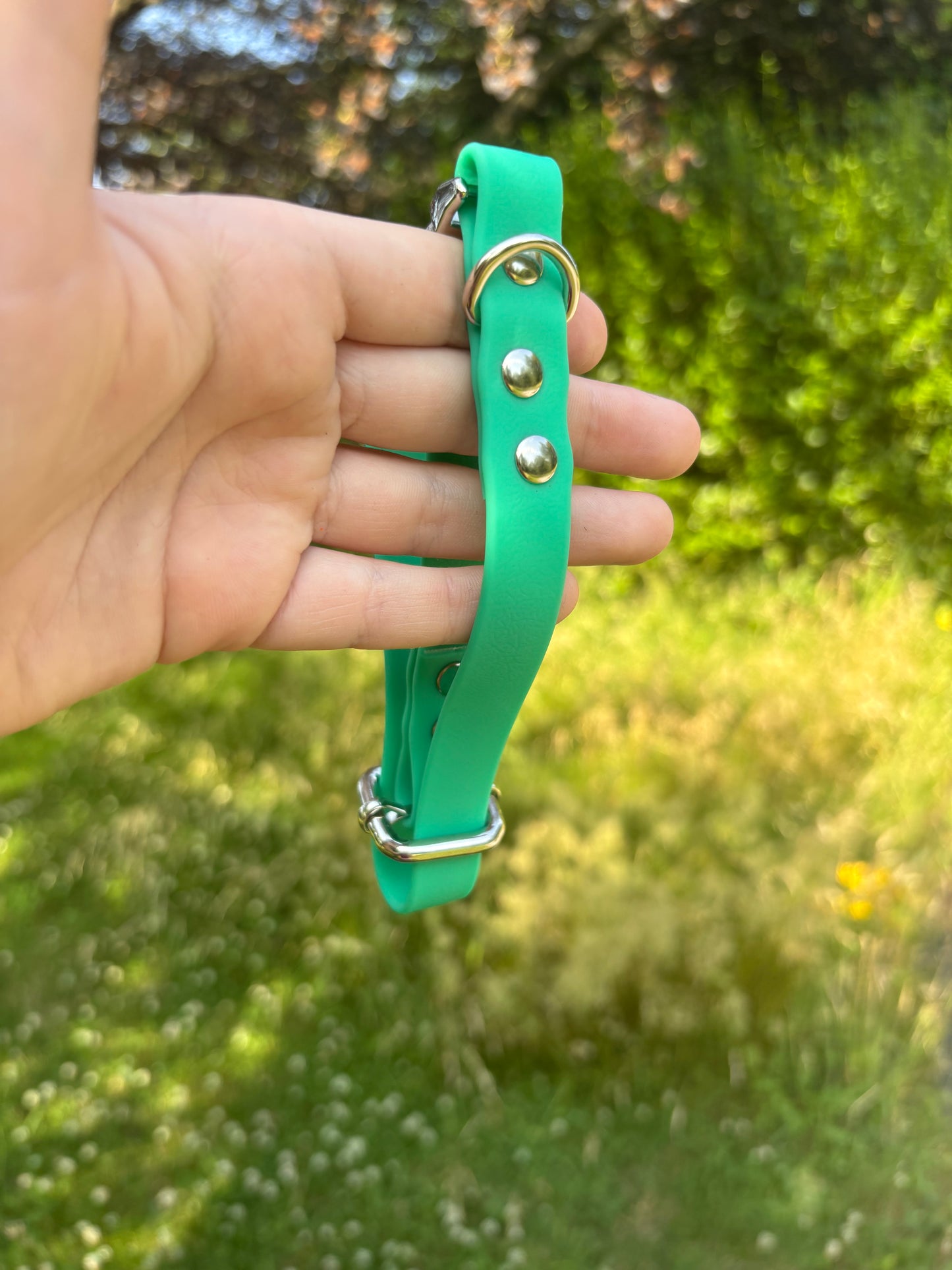 Collier biothane Vert