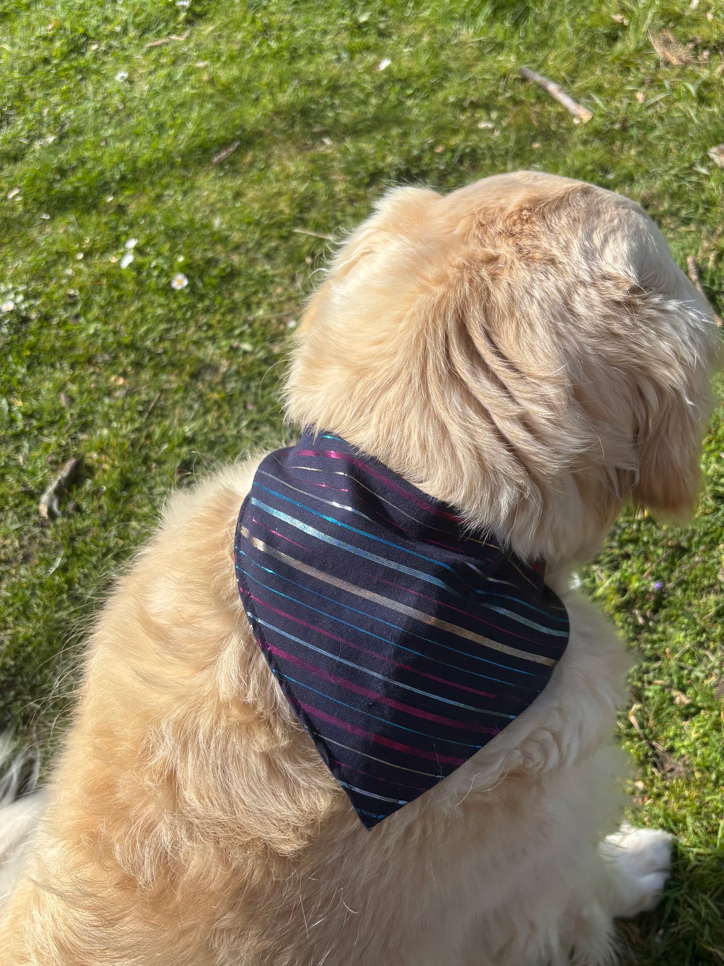 Bandana Suzette