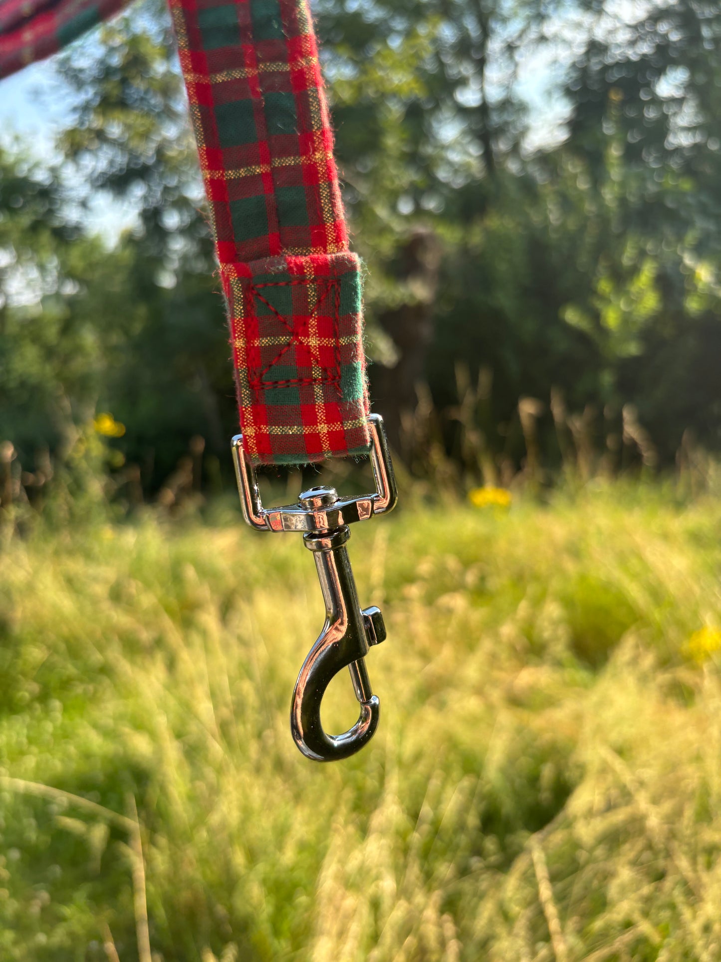 Laisse Tartan
