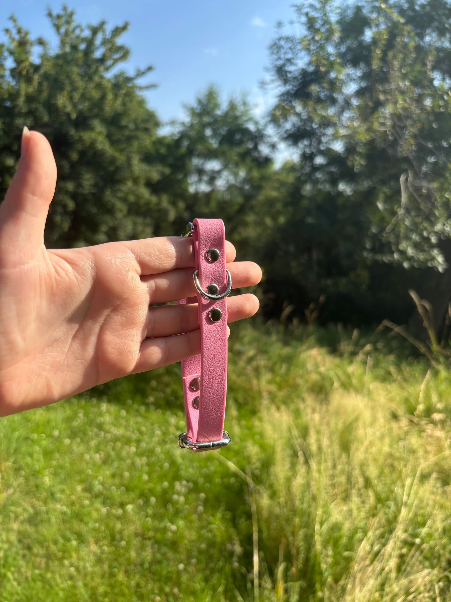 Collier biothane vieux rose