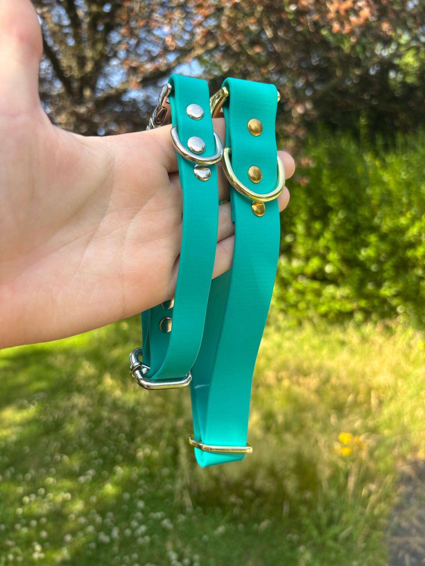 Collier biothane Teal