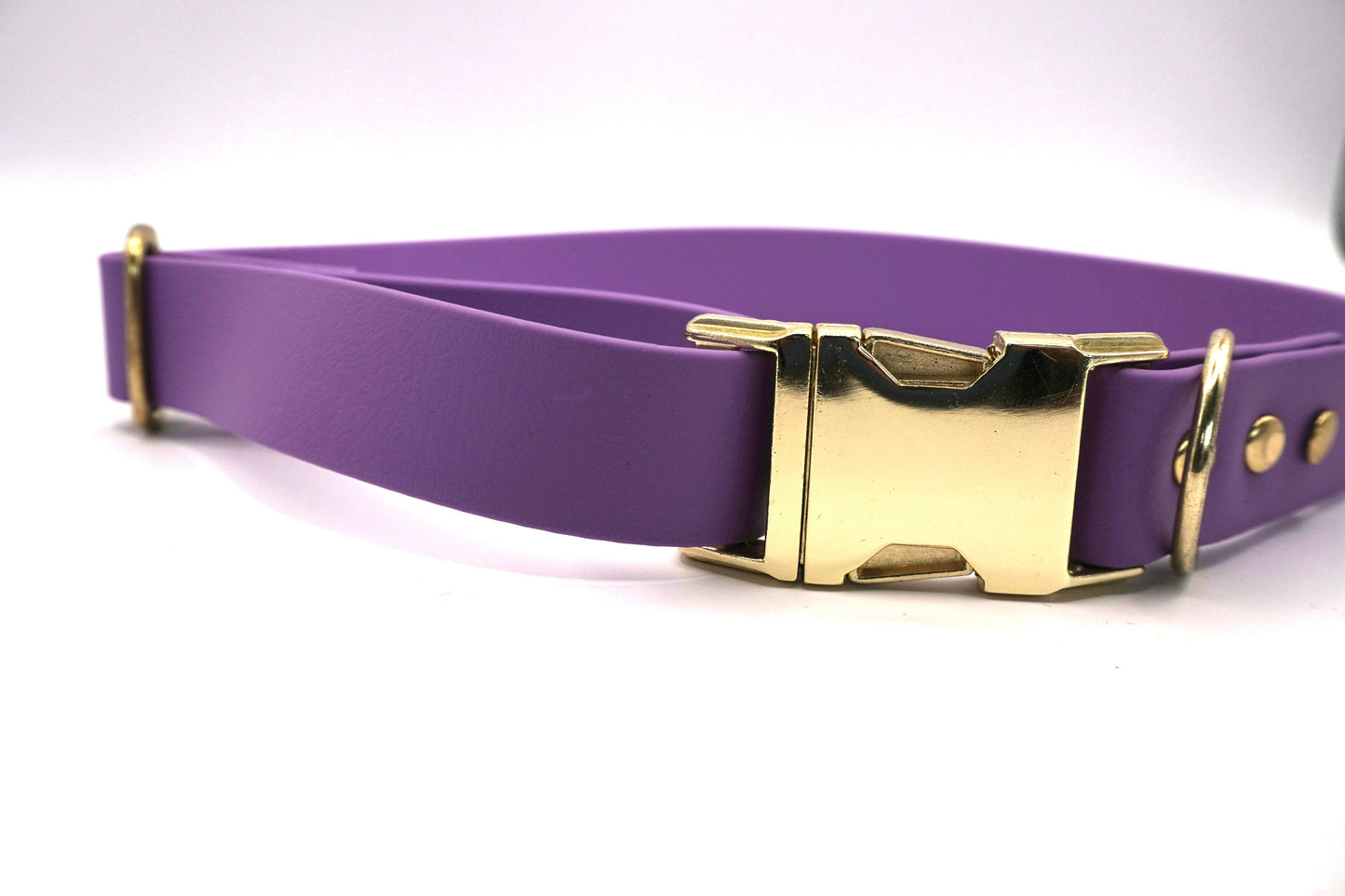 Collier biothane Mauve