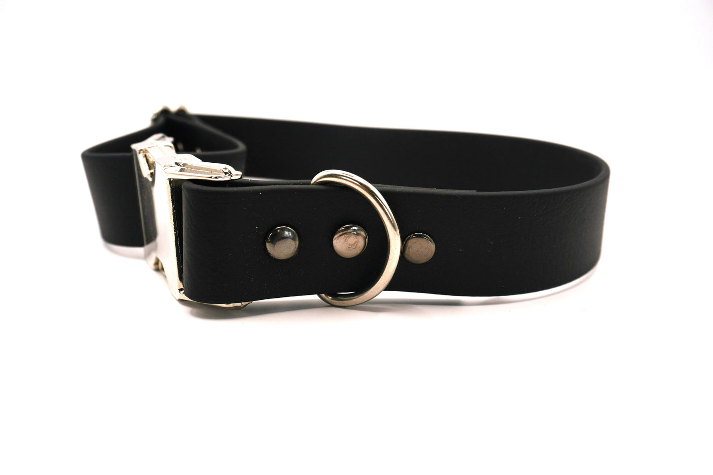 Collier biothane Noir