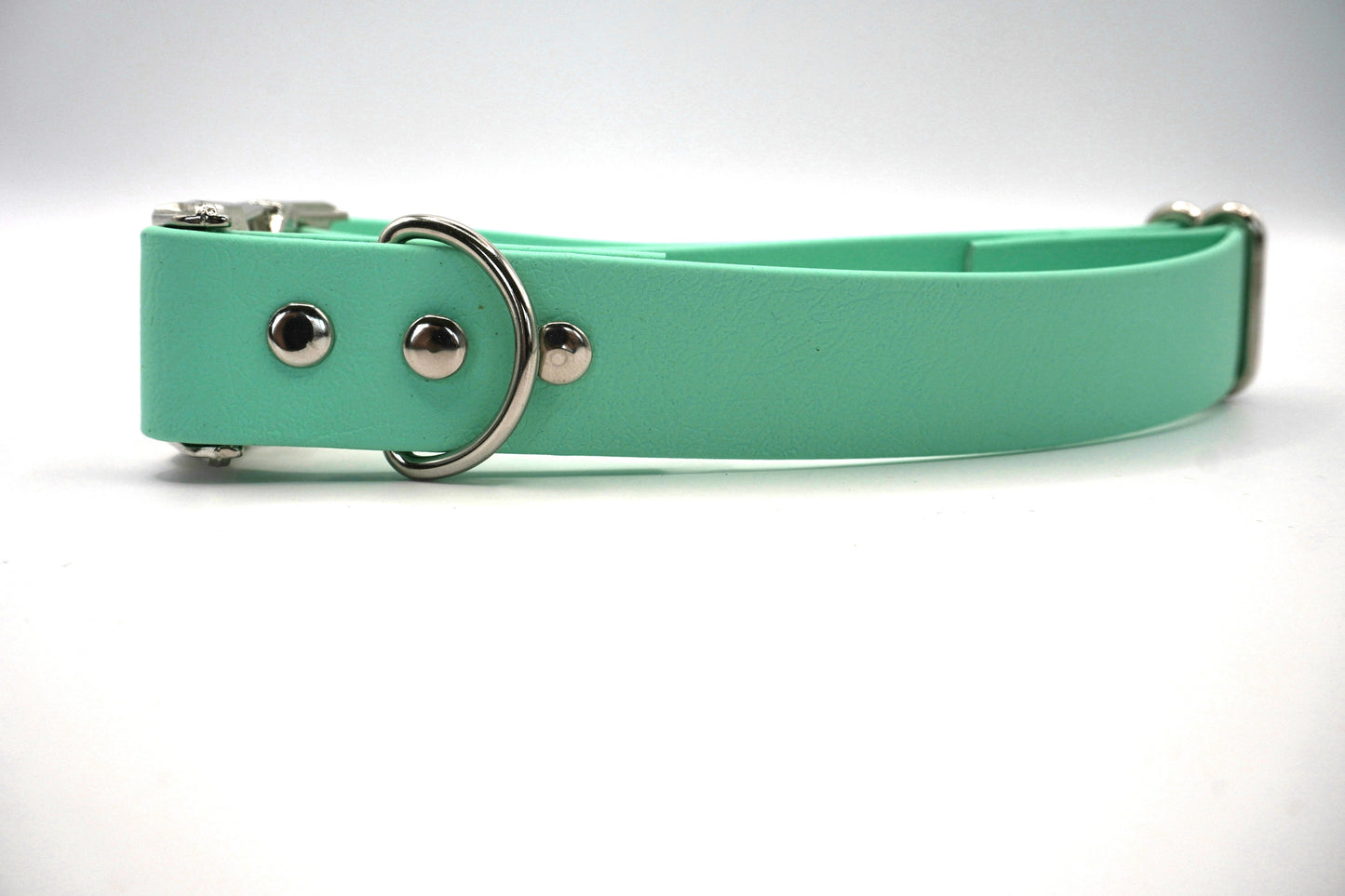 Collier biothane Mint