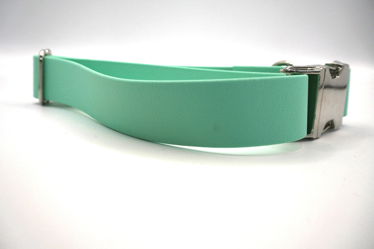 Collier biothane Mint