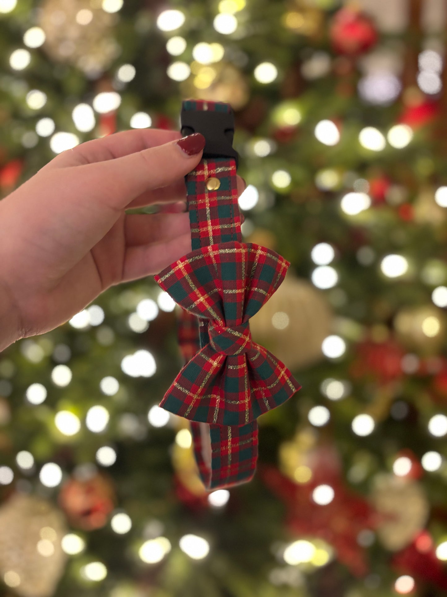 Nœud tartan de Noël