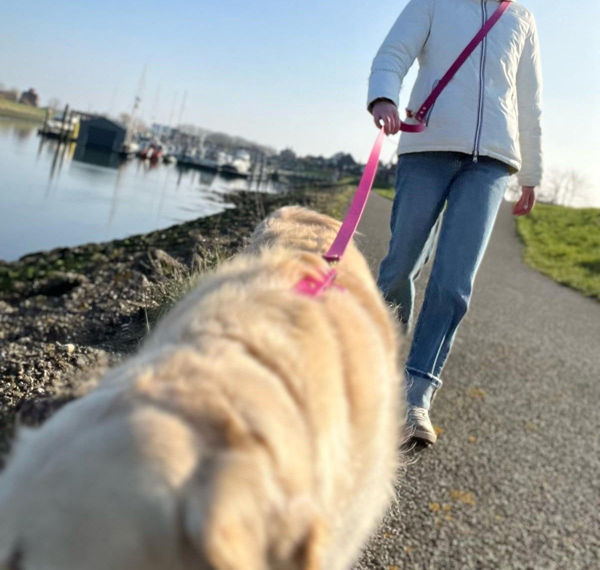 Laisse biothane Multi-positions + 1 m