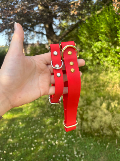 Collier biothane Rouge
