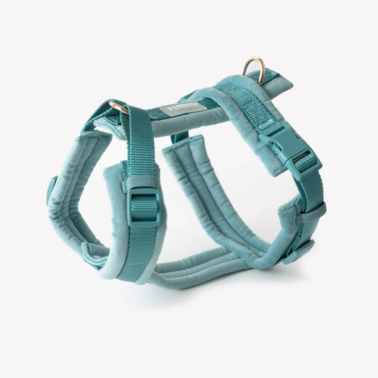 Bleu - Harnais pour chien en velours