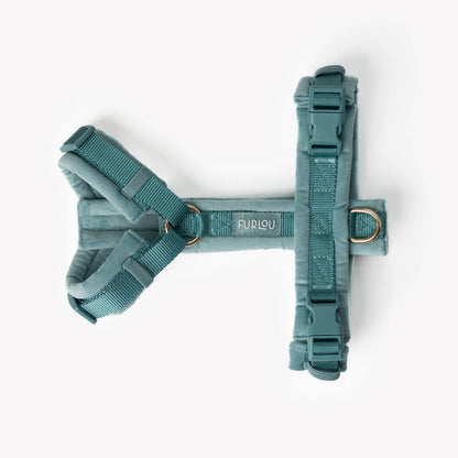 Bleu - Harnais pour chien en velours