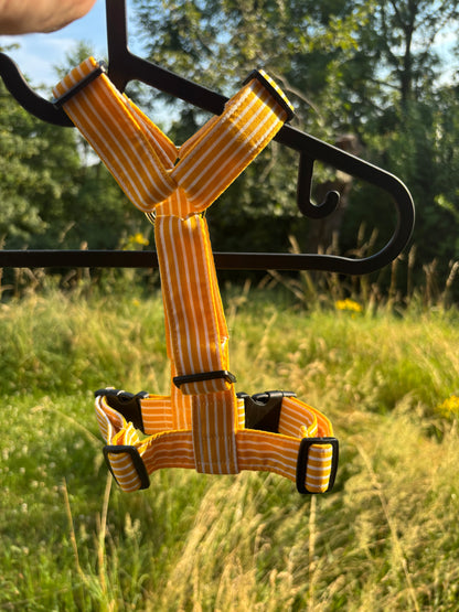 Harnais Ligne jaune