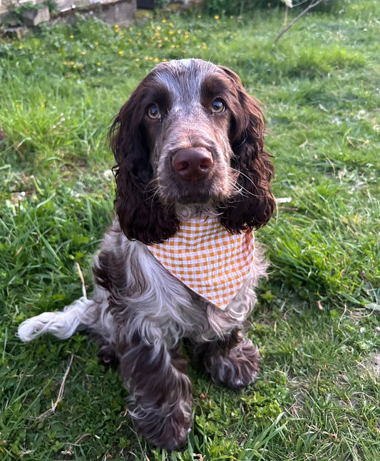 Bandana Vichy
