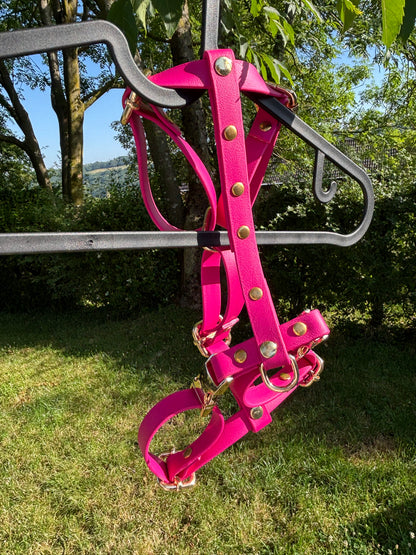 Harnais en biothane fushia