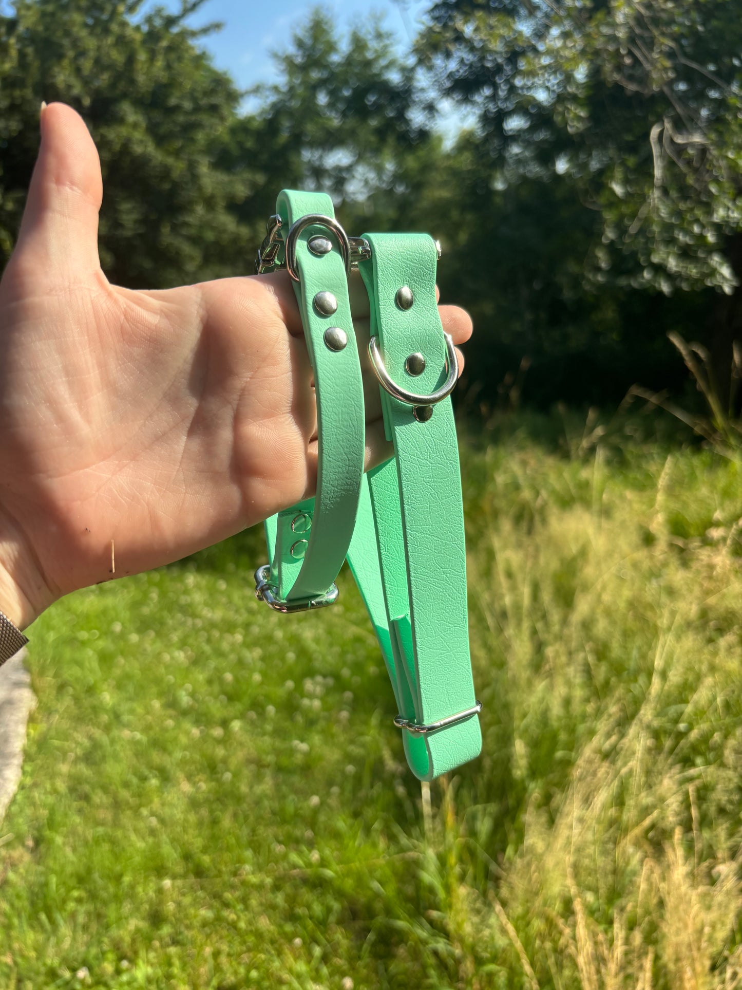 Collier biothane Mint