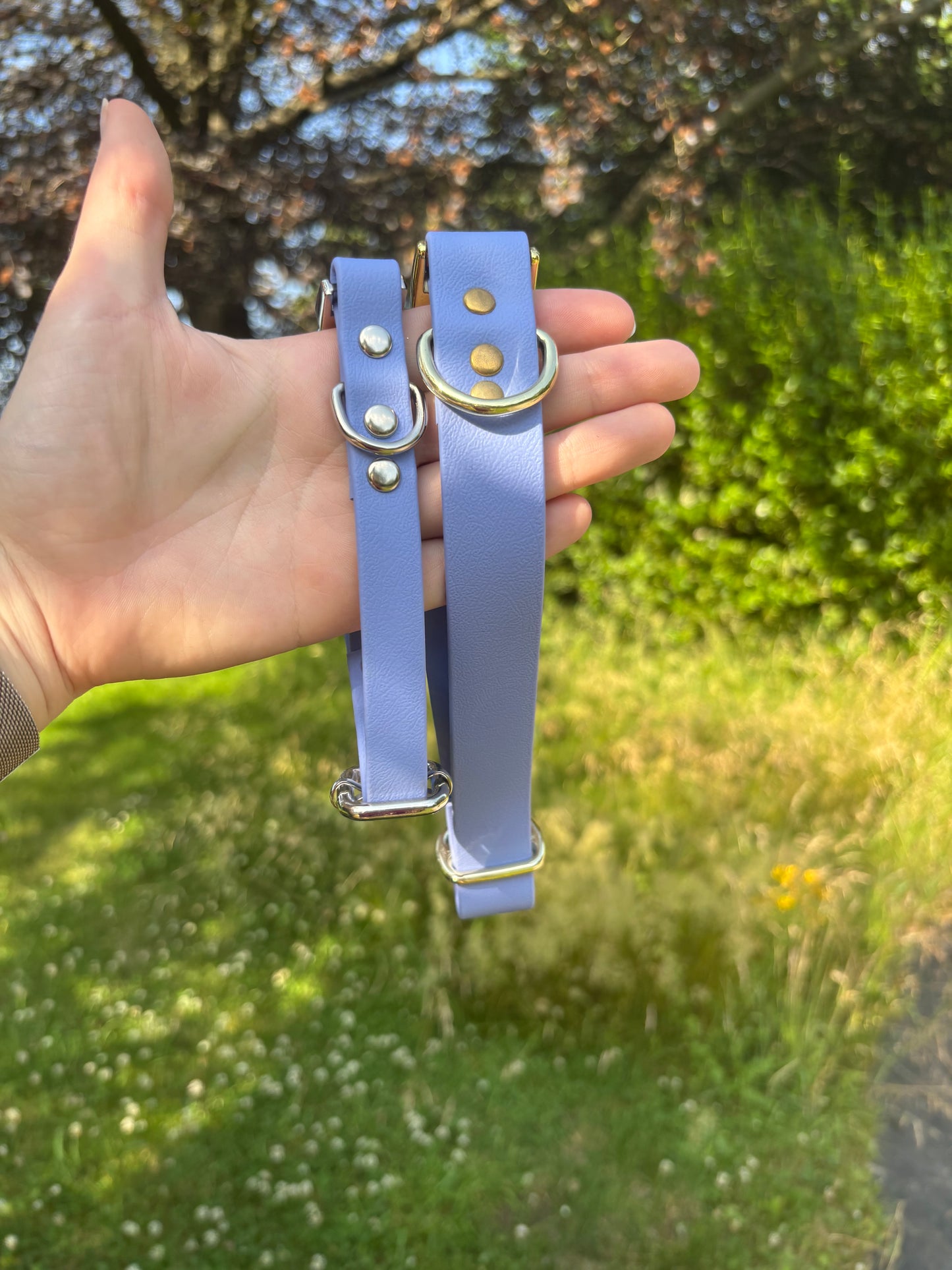 Collier biothane Bleu