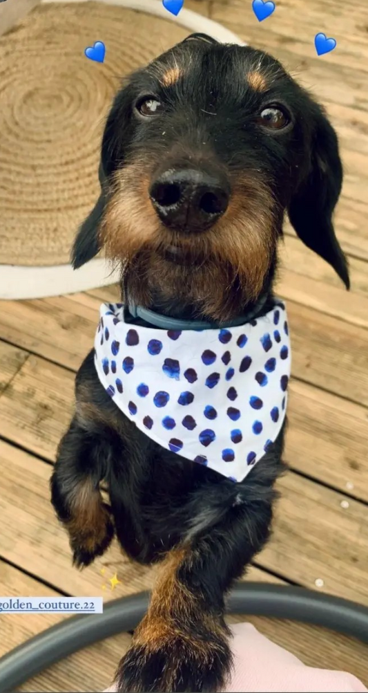 Bandana Sky