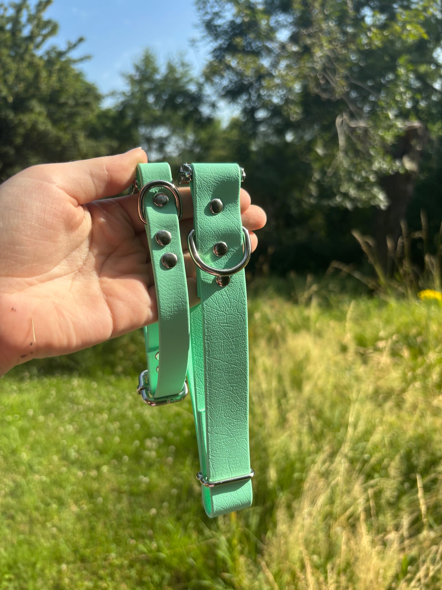 Collier biothane Mint