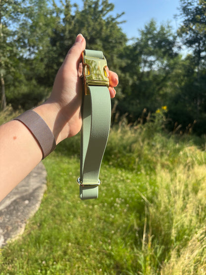 Collier biothane Sauge