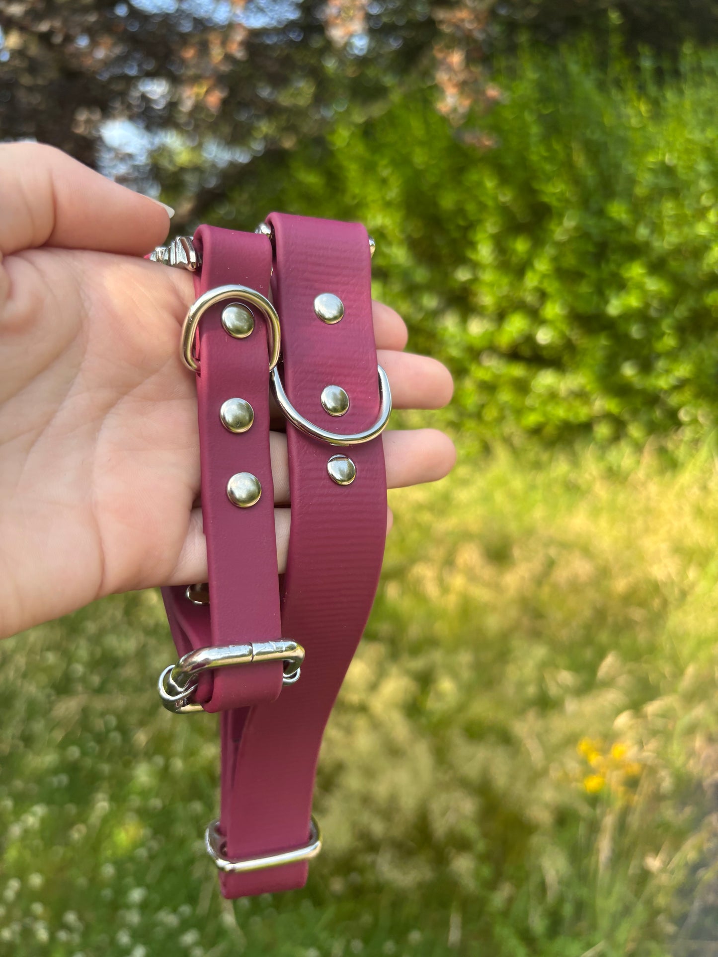 Collier biothane bordeaux