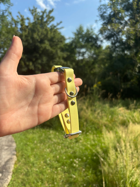 Collier biothane citron vert