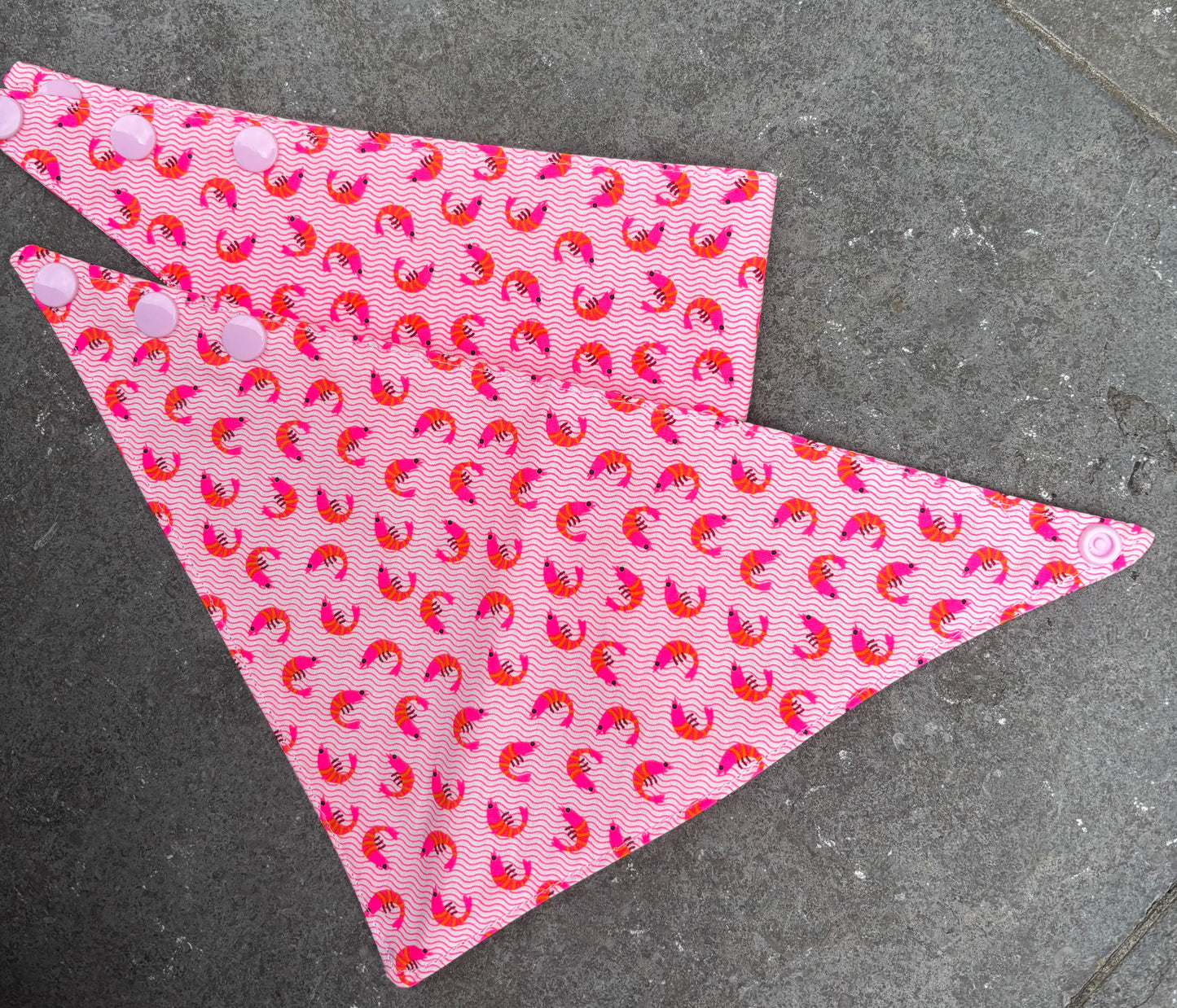 Bandana Crevettes