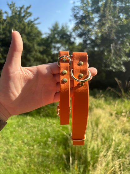 Collier biothane burn