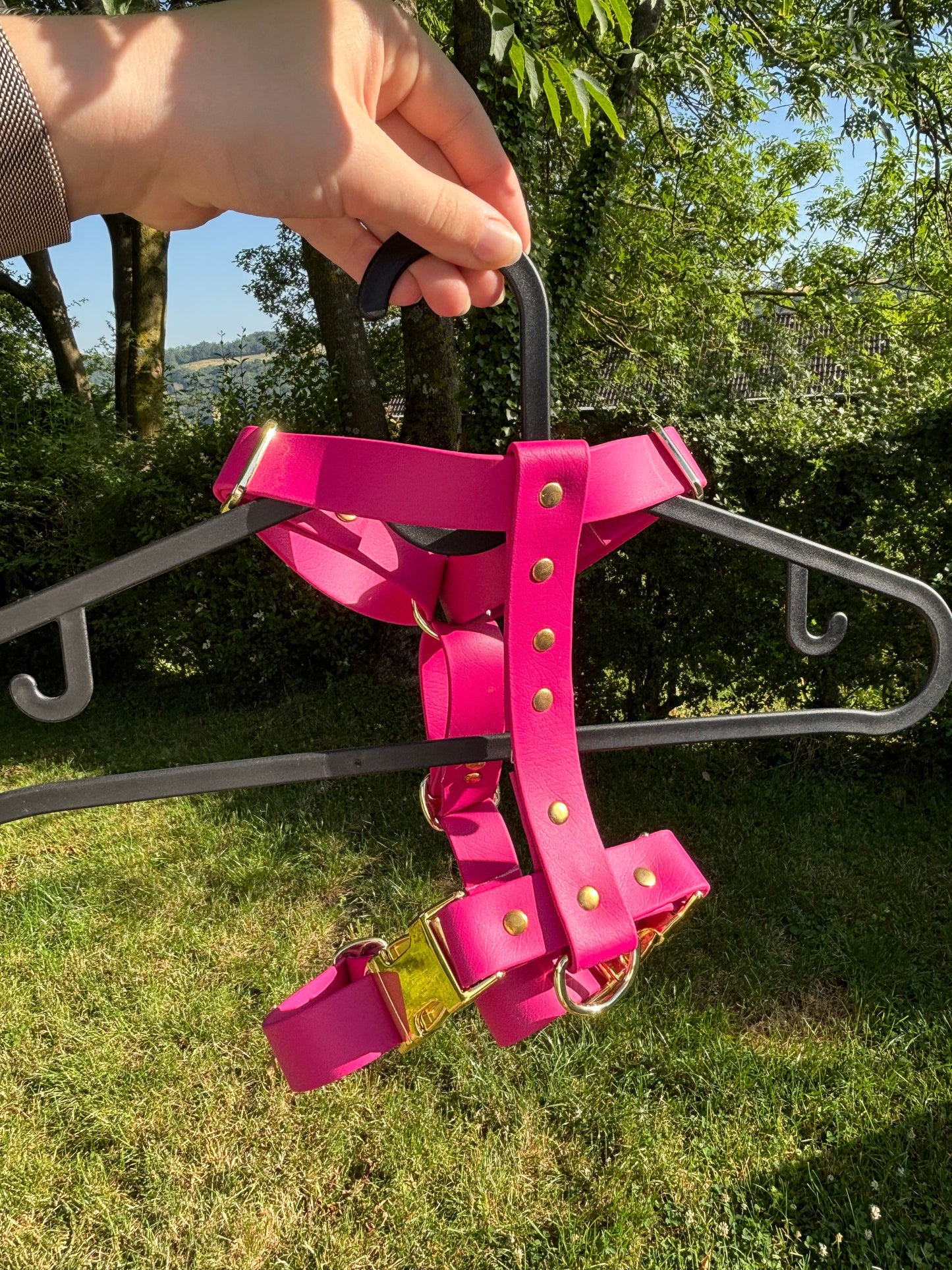 Harnais en biothane fushia
