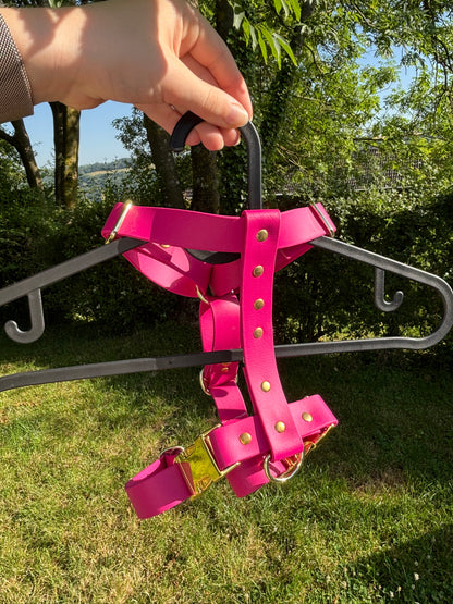 Harnais en biothane fushia
