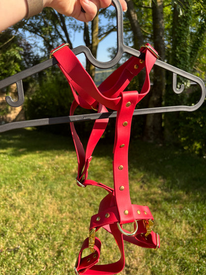 Harnais en biothane rouge bordeaux