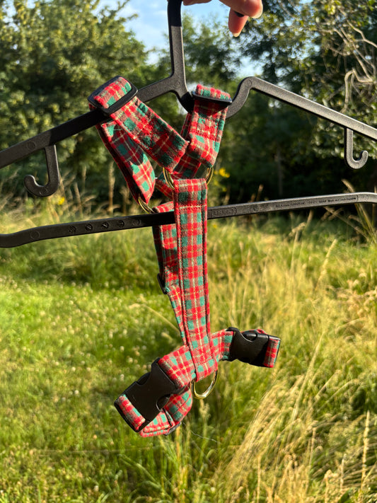 Harnais Tartan