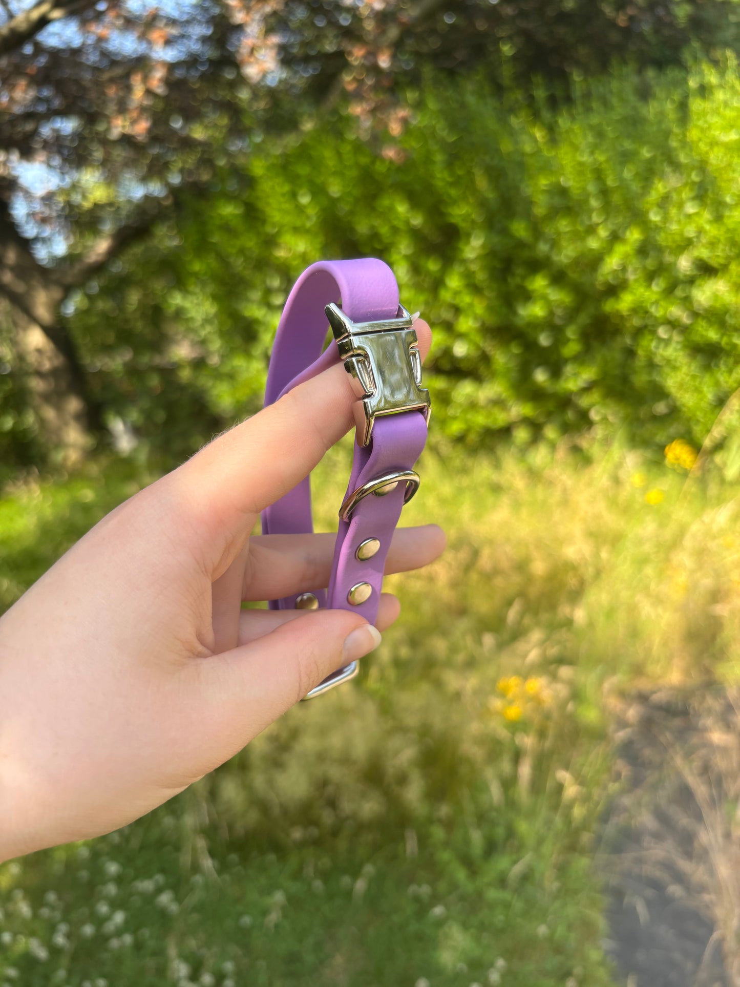 Collier biothane Mauve