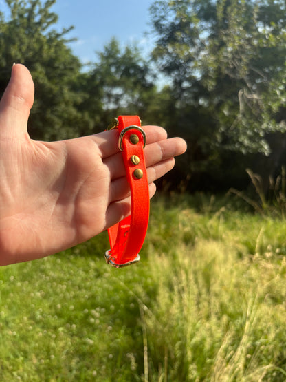 Collier biothane Orange fluo