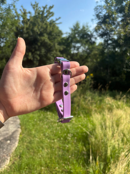 Collier biothane Mauve