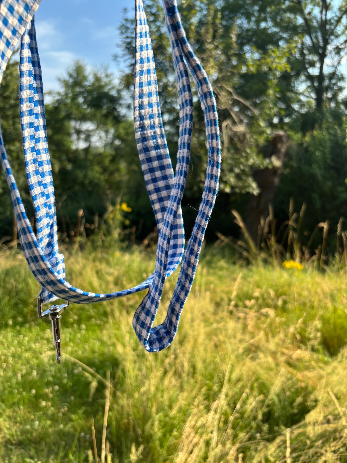 Laisse Vichy bleu