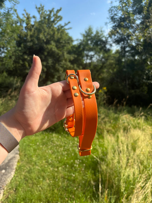 Collier biothane burn