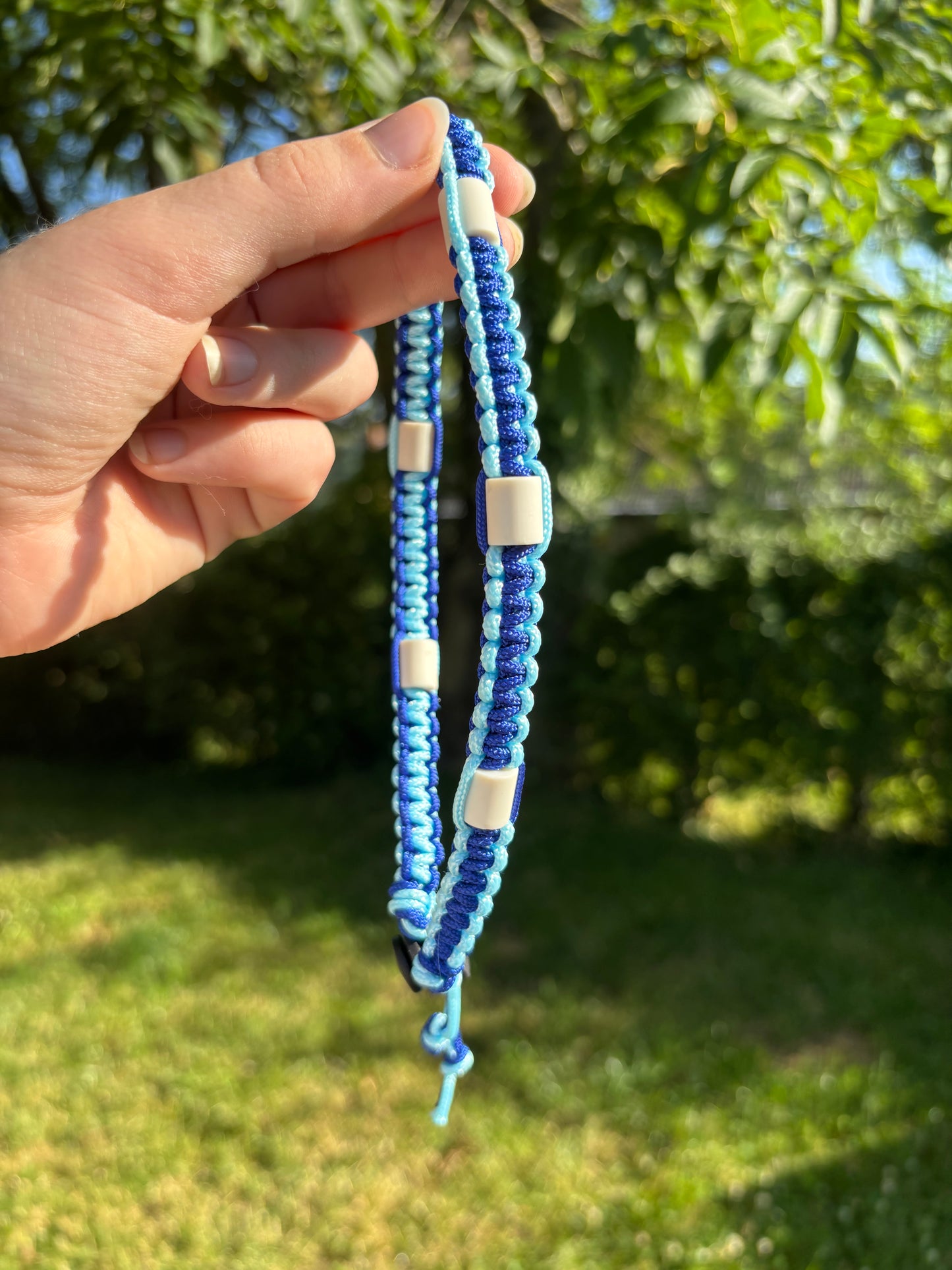 Collier anti tiques M
