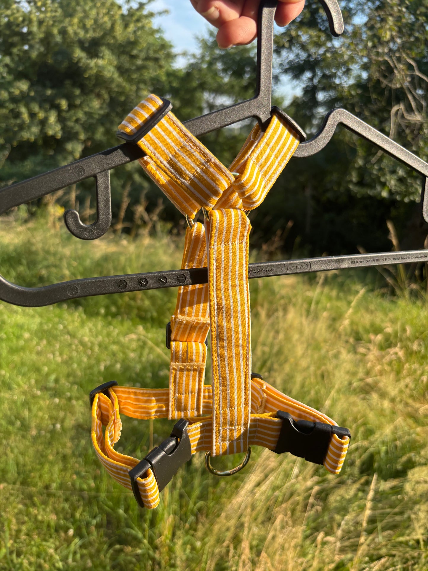 Harnais Ligne jaune