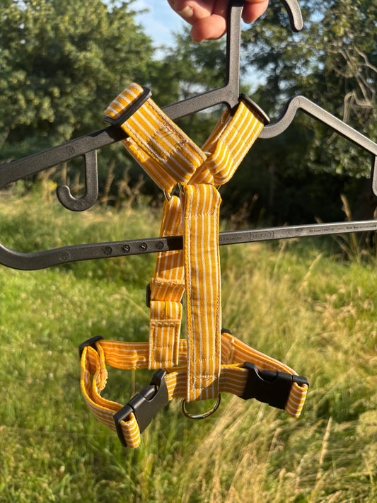 Harnais Ligne jaune