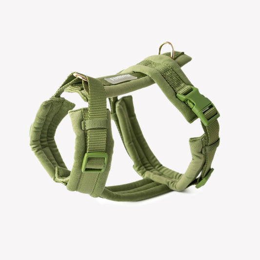 'Harnais pour chien en velours - Vert'