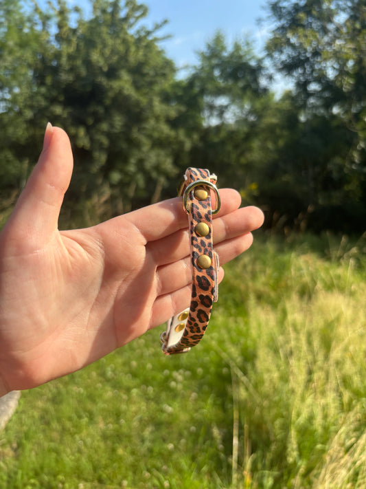 Collier biothane Léopard