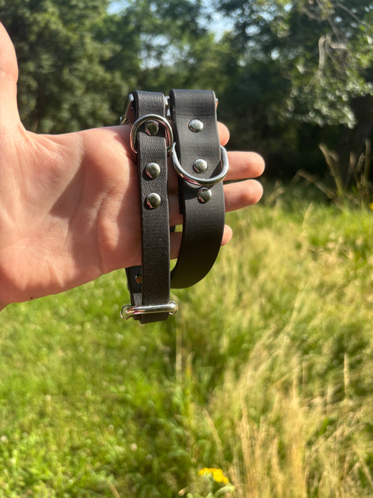 Collier biothane Noir