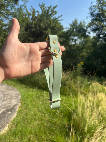 Collier biothane Sauge