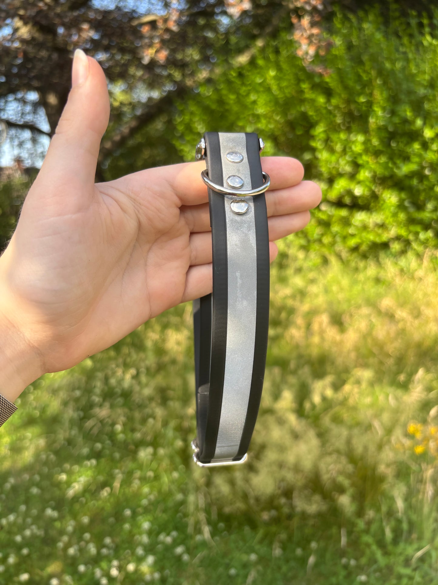 Collier biothane Noir réfléchissant