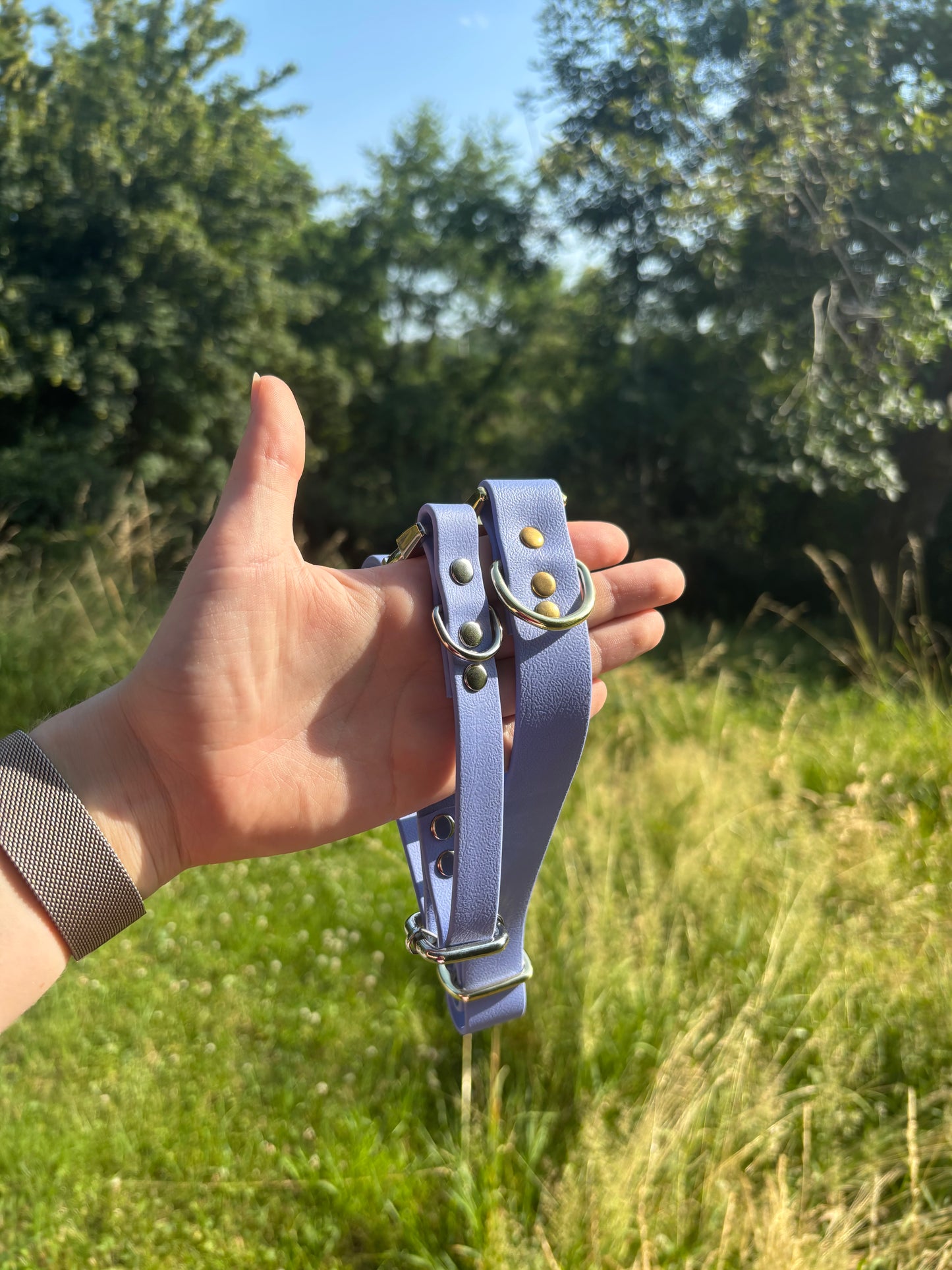 Collier biothane Bleu