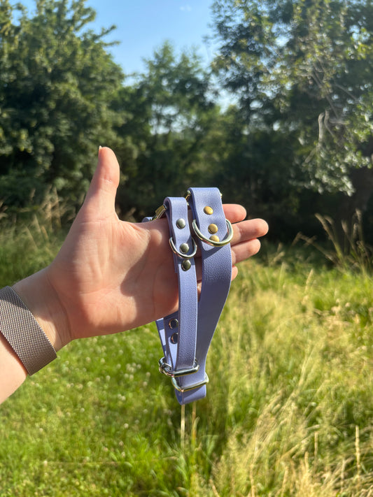 Collier biothane Bleu