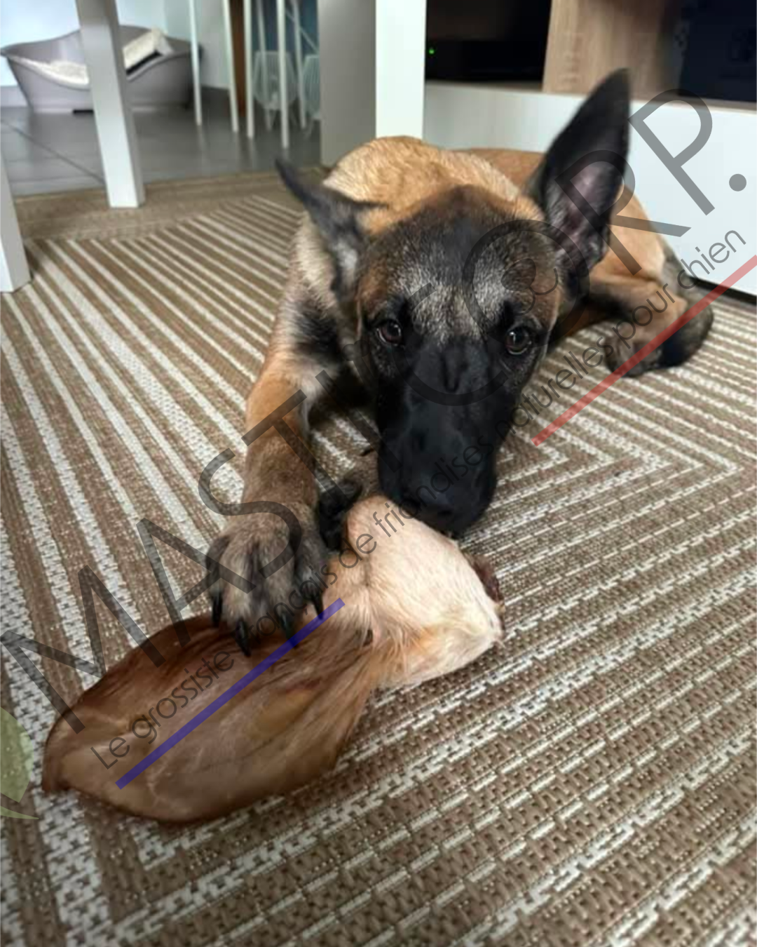 Oreille De Boeuf XL Avec Fourrure - Mastication Chien