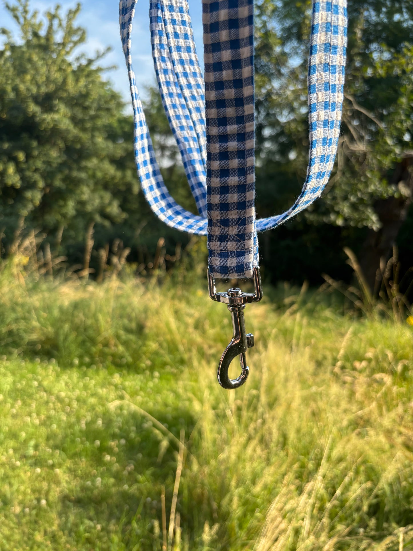 Laisse Vichy bleu