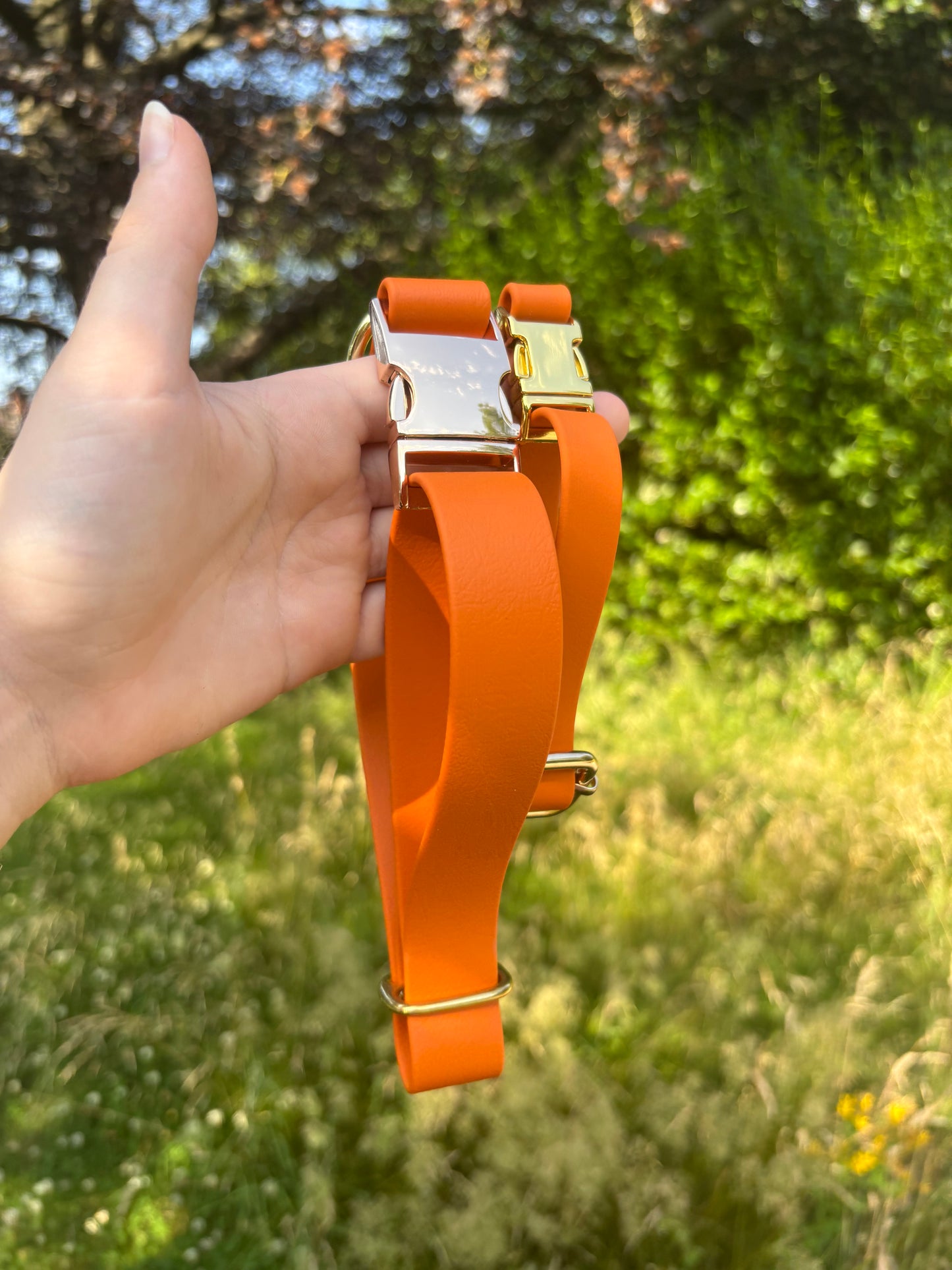 Collier biothane burn