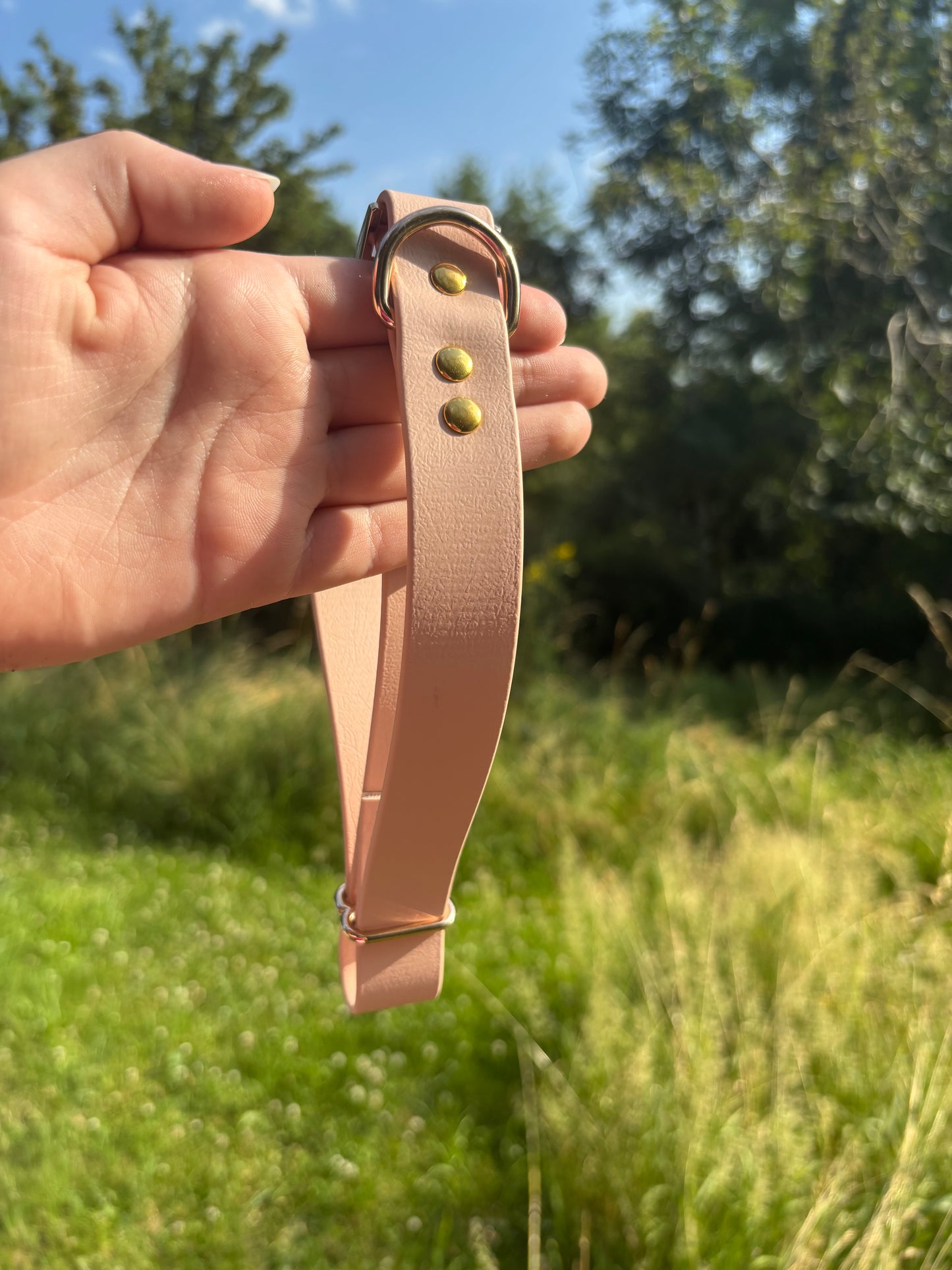 Collier biothane Nude