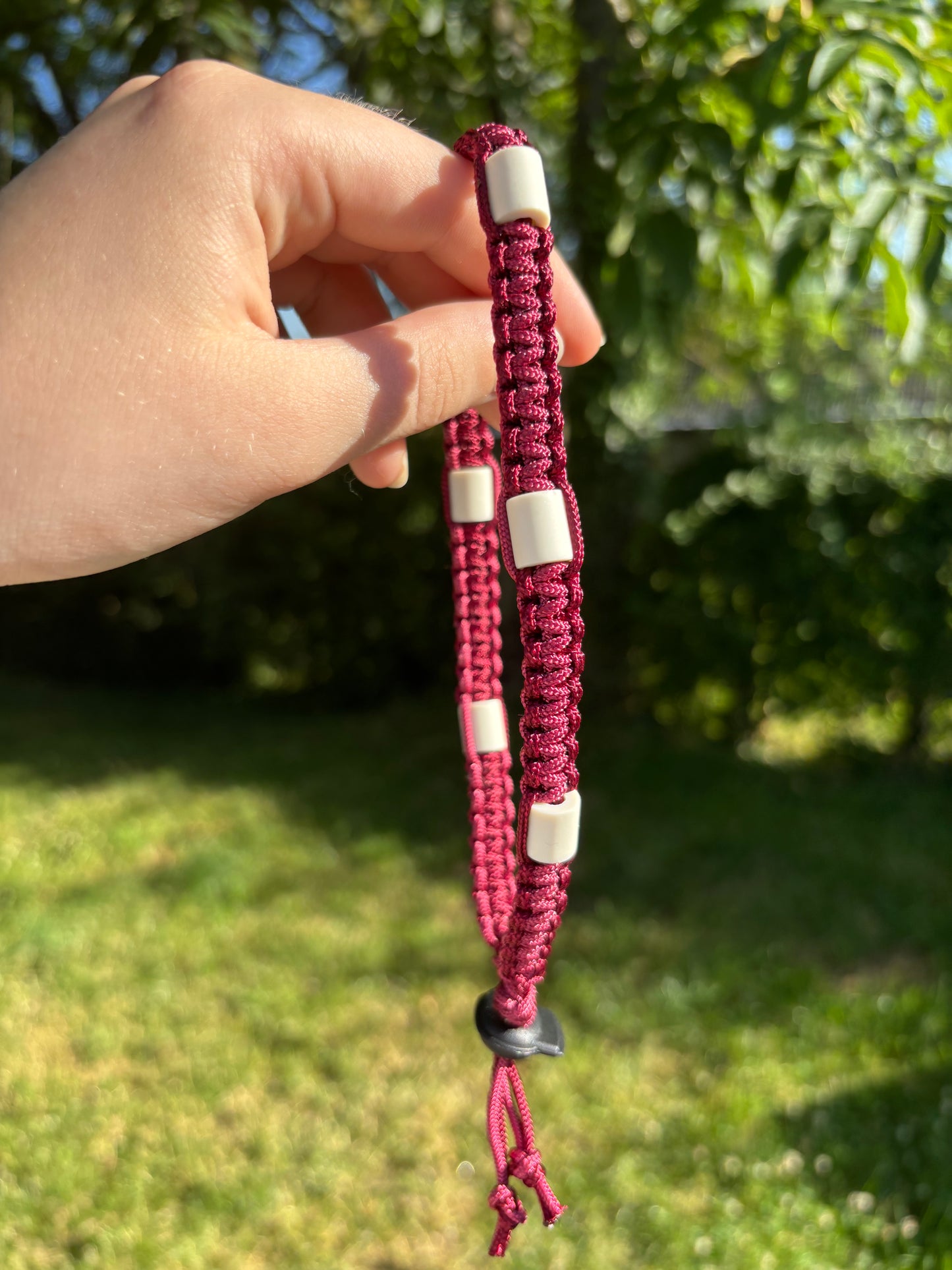Collier anti tiques M